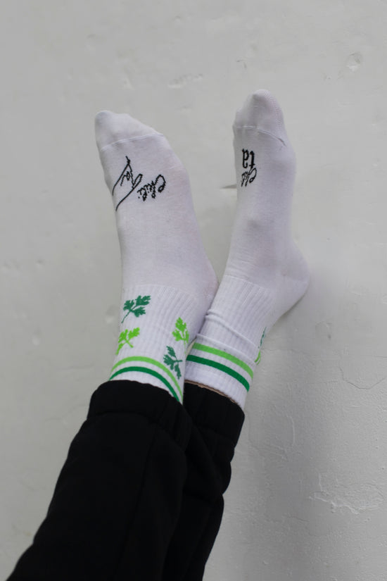 Tým koriandr ponožky